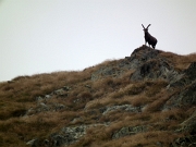 MONTE MASONI > PIZZO ZERNA > VALSAMBUZZA - FOTOGALLERY
